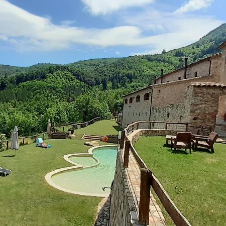 Agroturismo Mas Vilar, Feel At Home Arbúcies Kültér fotó